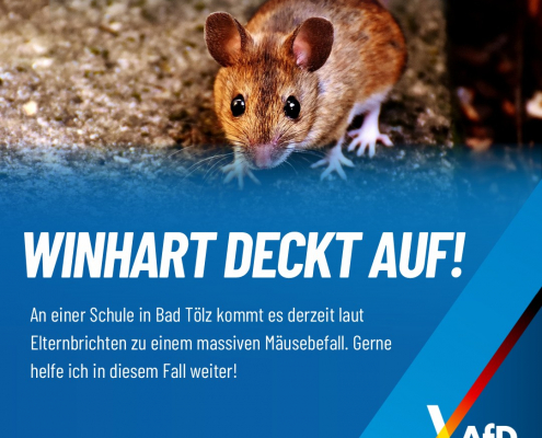 Andreas Winhart Mäuse Schule Bad Tölz