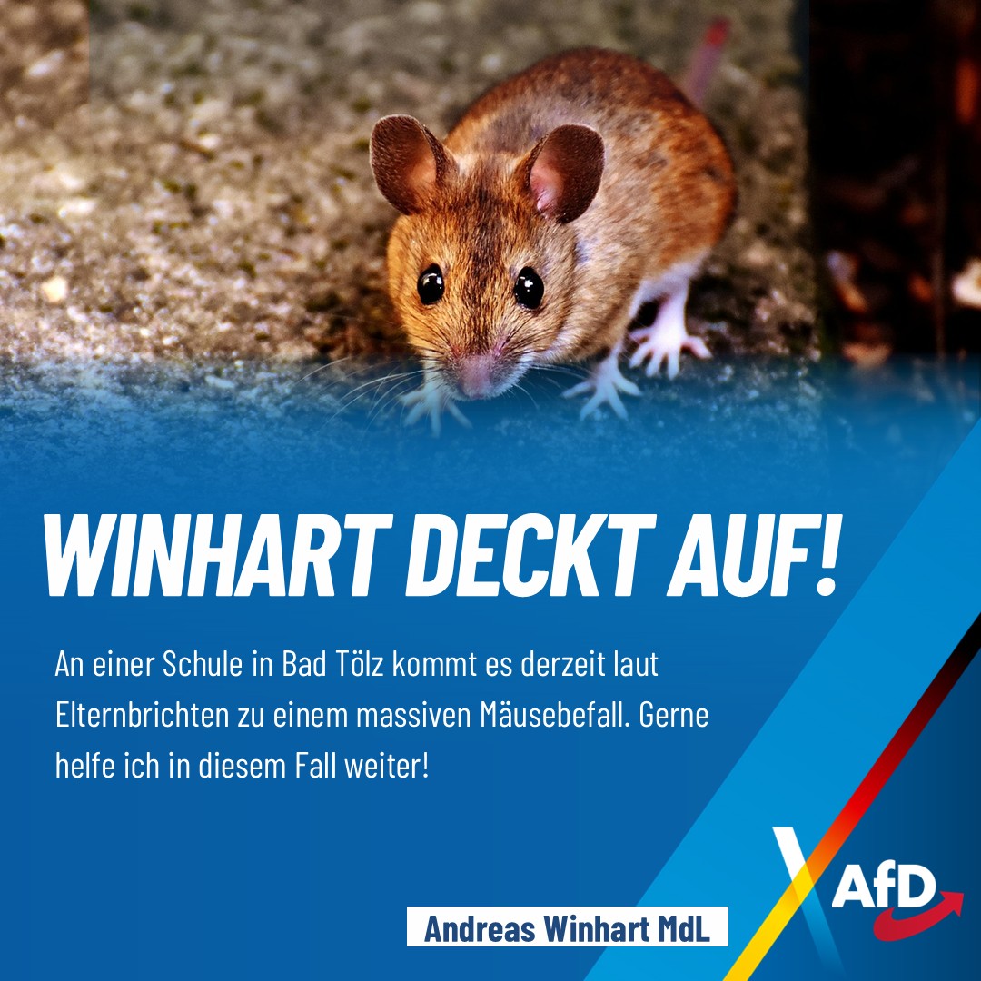 Andreas Winhart Mäuse Schule Bad Tölz