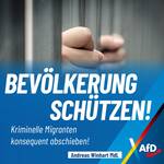 Andreas-Winhart-Rosenheim-Kriminalitaet-Migranten-Abschiebung