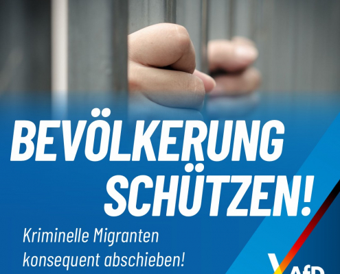 Andreas-Winhart-Rosenheim-Kriminalitaet-Migranten-Abschiebung