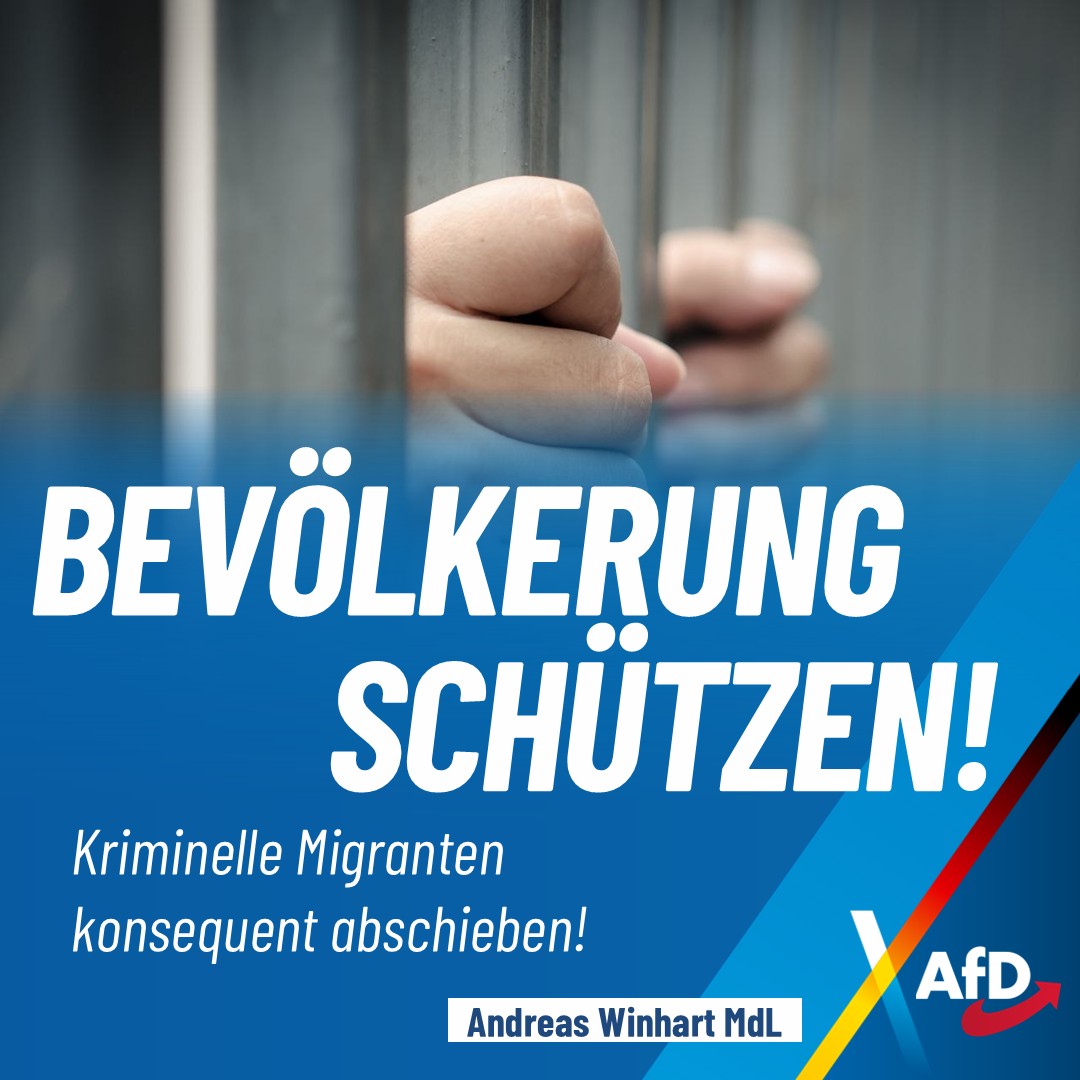 Andreas-Winhart-Rosenheim-Kriminalitaet-Migranten-Abschiebung