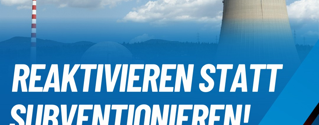 Andreas-Winhart-Kernkraft-Reaktivierung-Ideologie