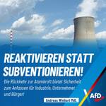 Andreas-Winhart-Kernkraft-Reaktivierung-Ideologie