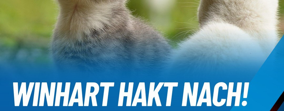 Andreas Winhart mobilisiert gegen neue Katzenschutzverordnung