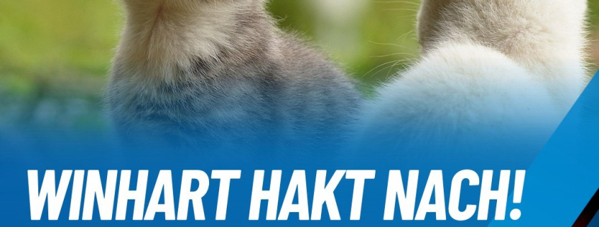 Andreas Winhart mobilisiert gegen neue Katzenschutzverordnung